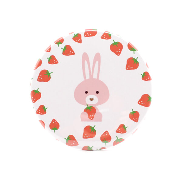 うさぎ　ミラー